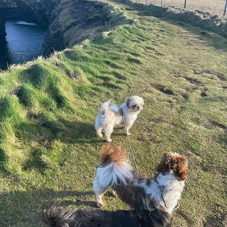 Cois Na Mara Eire Code V15 T677 Frühstückspension