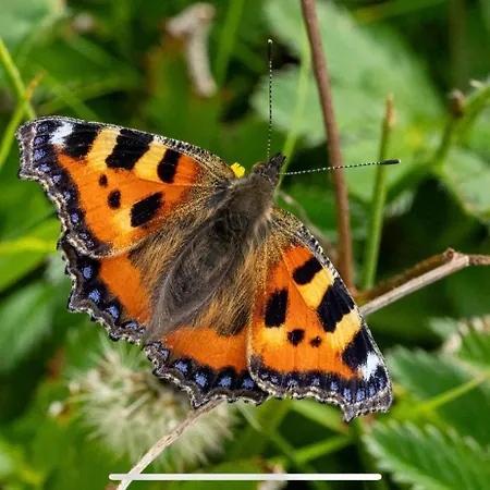 Cois Na Mara Eire Code V15 T677 Derrynadivva