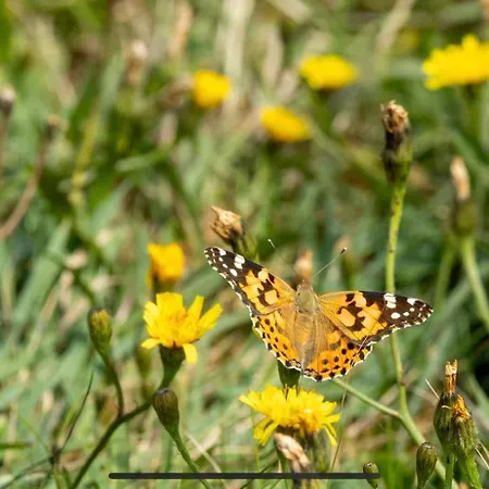 Cois Na Mara Eire Code V15 T677