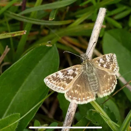 Frühstückspension Cois Na Mara Eire Code V15 T677