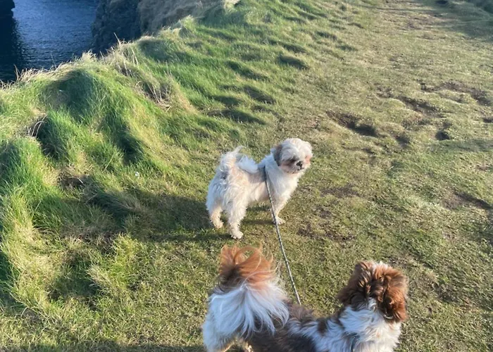 Cois Na Mara Eire Code V15 T677 Bed & Breakfast