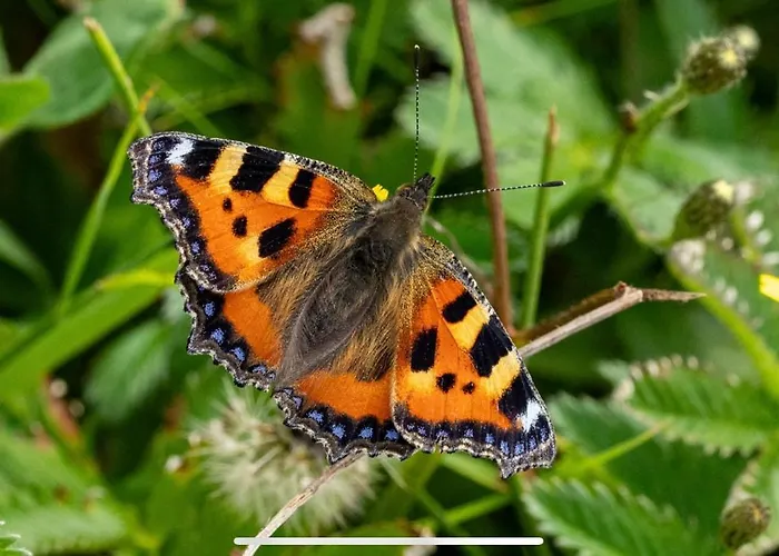 Cois Na Mara Eire Code V15 T677 Derrynadivva